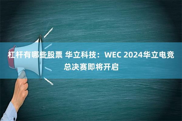 杠杆有哪些股票 华立科技：WEC 2024华立电竞总决赛即将开启