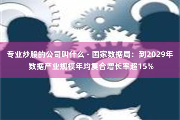 专业炒股的公司叫什么 · 国家数据局：到2029年 数据产业规模年均复合增长率超15%