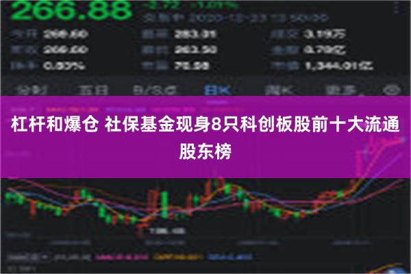 杠杆和爆仓 社保基金现身8只科创板股前十大流通股东榜