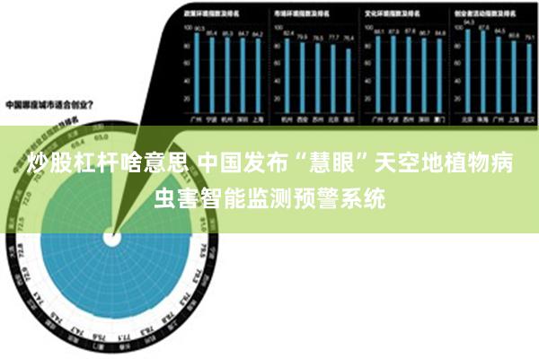 炒股杠杆啥意思 中国发布“慧眼”天空地植物病虫害智能监测预警系统