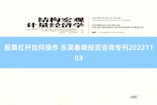 股票杠杆如何操作 东吴春晓投资咨询专刊20221103