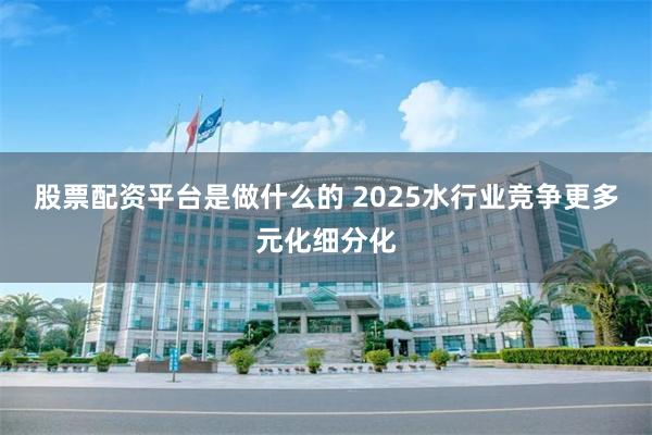 股票配资平台是做什么的 2025水行业竞争更多元化细分化